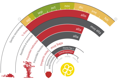 Imagen LG Conrad CL - LG Seeds