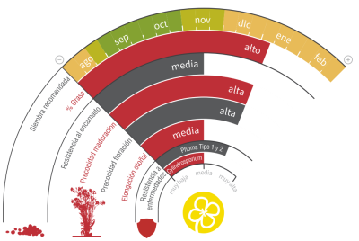 Imagen LG Cubus CL - LG Seeds