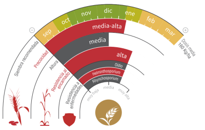 Imagen Encarna - LG Seeds