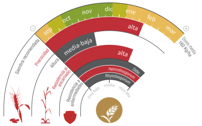 Imagen Lagalia - LG Seeds