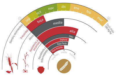 Imagen Arkeos - LG Seeds