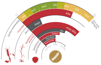 Imagen Berdún - LG Seeds