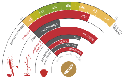 Imagen Chambo - LG Seeds