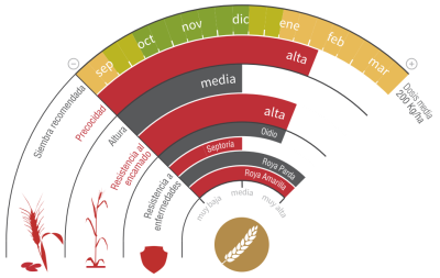 Imagen LG Albufera - LG Seeds