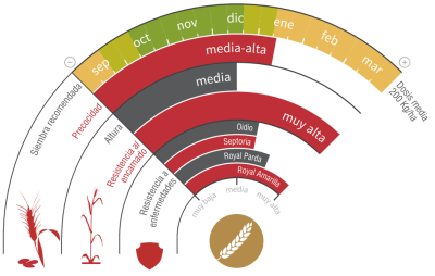 Imagen LG Rufo - LG Seeds