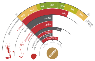 Imagen Artur Nick - LG Seeds