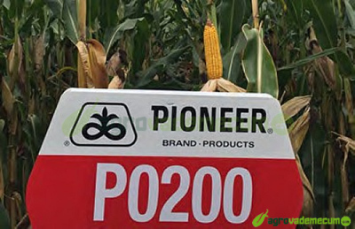 Imagen P0200 - Pioneer