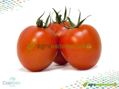 Imagen Vibranio - CapGen Seeds