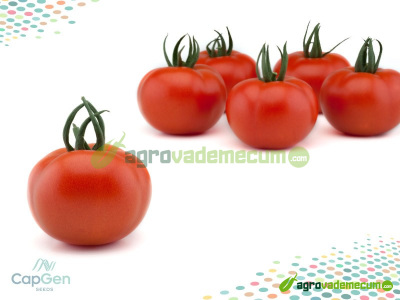 Imagen Selina - CapGen Seeds