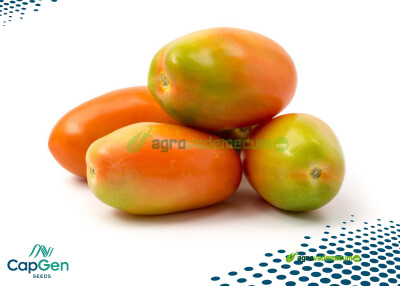 Imagen CG 191 RS - CapGen Seeds